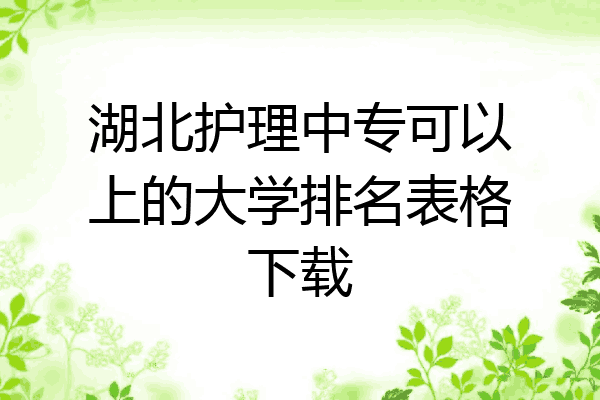 湖北护理中专可以上的大学排名表格下载