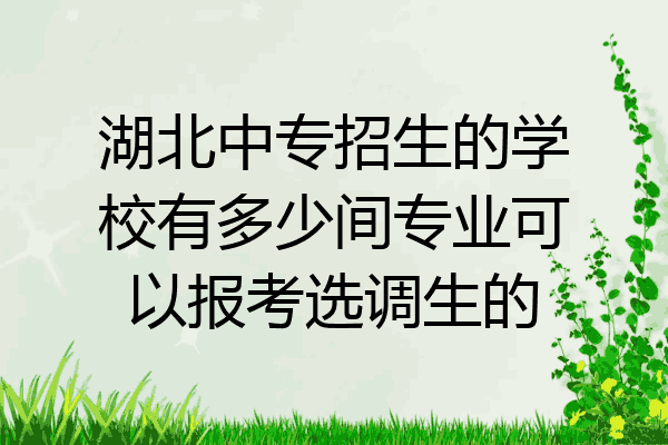 湖北中专招生的学校有多少间专业可以报考选调生的