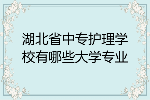湖北省中专护理学校有哪些大学专业