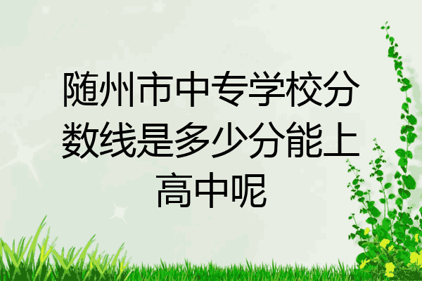 随州市中专学校分数线是多少分能上高中呢