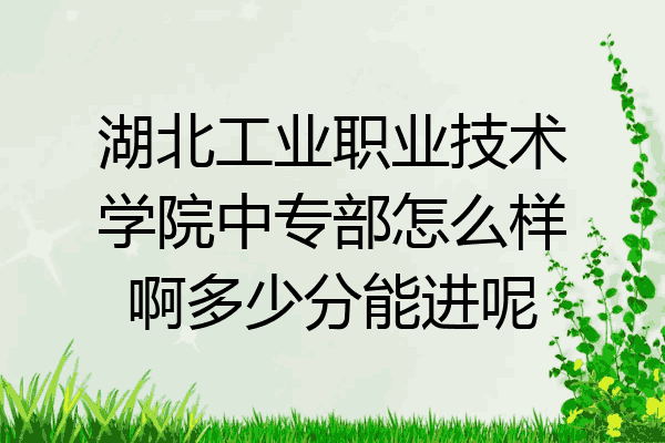 湖北工业职业技术学院中专部怎么样啊多少分能进呢