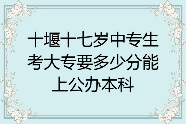 十堰十七岁中专生考大专要多少分能上公办本科