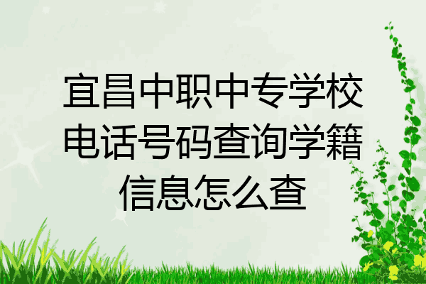 宜昌中职中专学校电话号码查询学籍信息怎么查