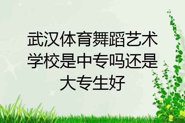 武汉体育舞蹈艺术学校是中专吗还是大专生好