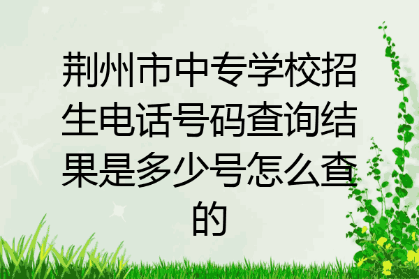 荆州市中专学校招生电话号码查询结果是多少号怎么查的