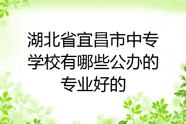 湖北省宜昌市中专学校有哪些公办的专业好的