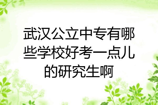 武汉公立中专有哪些学校好考一点儿的研究生啊