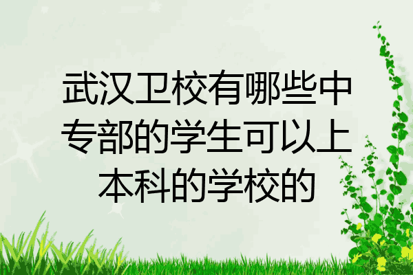 武汉卫校有哪些中专部的学生可以上本科的学校的