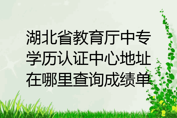 湖北省教育厅中专学历认证中心地址在哪里查询成绩单