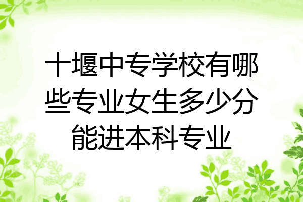 十堰中专学校有哪些专业女生多少分能进本科专业