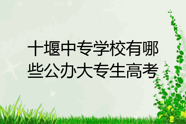 十堰中专学校有哪些公办大专生高考