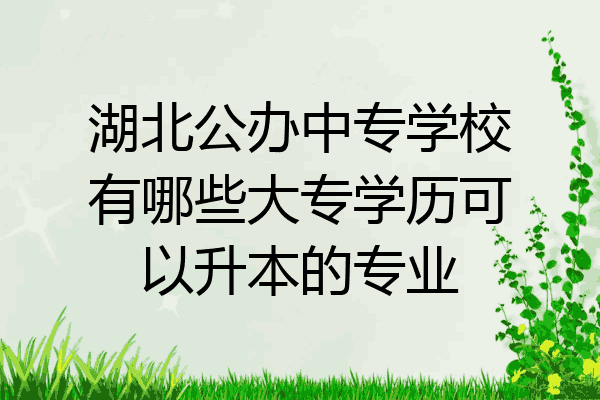 湖北公办中专学校有哪些大专学历可以升本的专业
