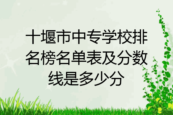 十堰市中专学校排名榜名单表及分数线是多少分