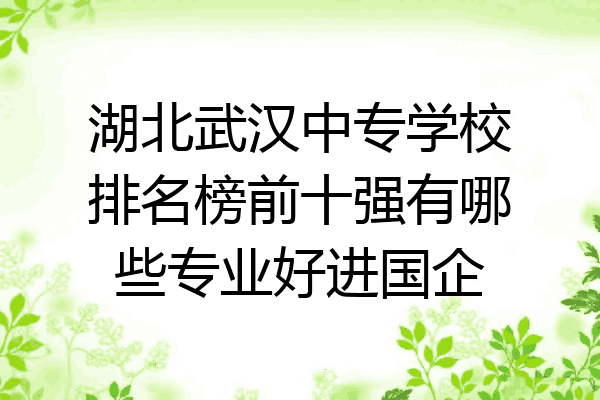 湖北武汉中专学校排名榜前十强有哪些专业好进国企