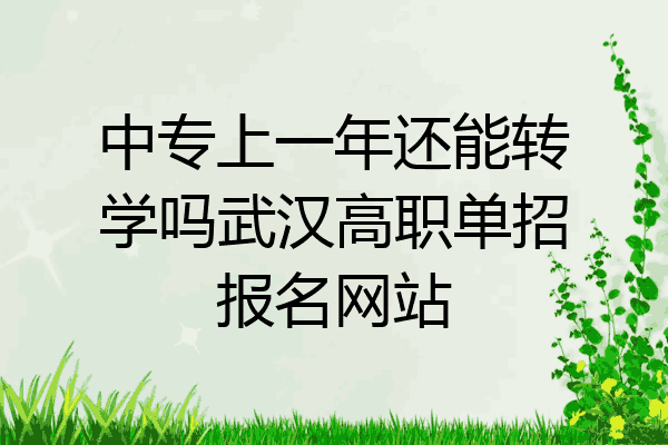 中专上一年还能转学吗武汉高职单招报名网站