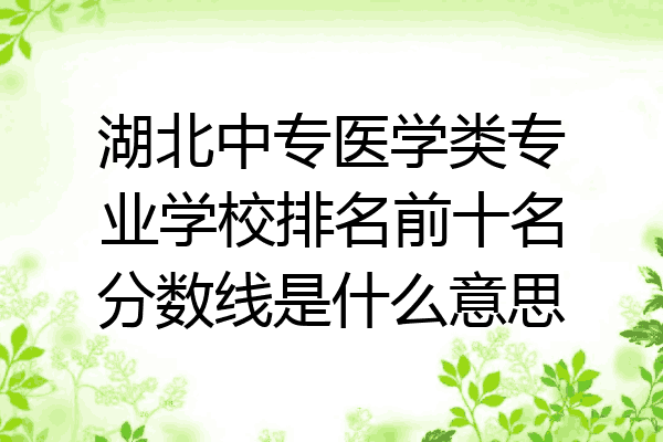湖北中专医学类专业学校排名前十名分数线是什么意思