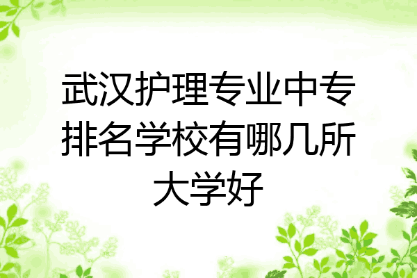 武汉护理专业中专排名学校有哪几所大学好