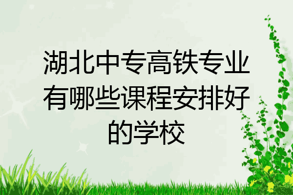 湖北中专高铁专业有哪些课程安排好的学校