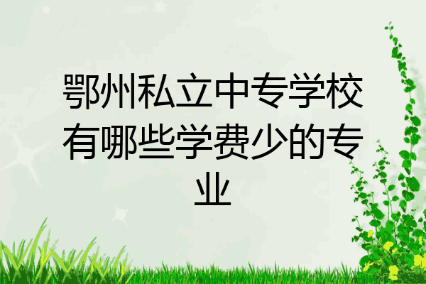 鄂州私立中专学校有哪些学费少的专业