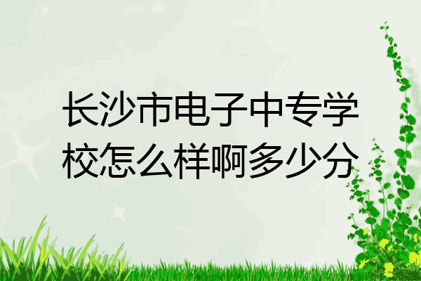 长沙市电子中专学校怎么样啊多少分