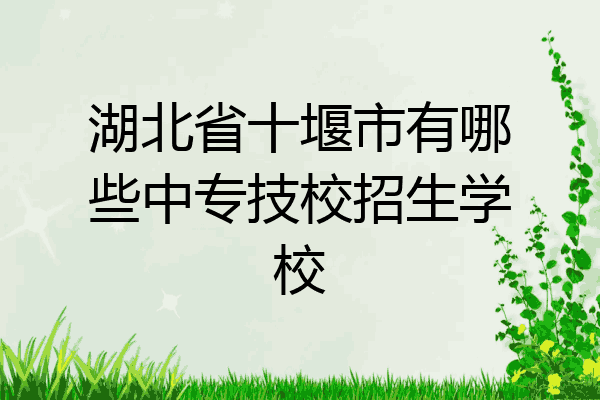 湖北省十堰市有哪些中专技校招生学校