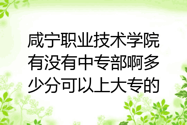 咸宁职业技术学院有没有中专部啊多少分可以上大专的