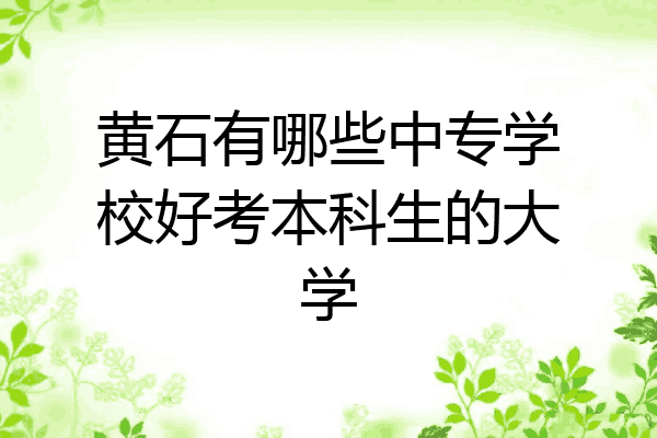 黄石有哪些中专学校好考本科生的大学