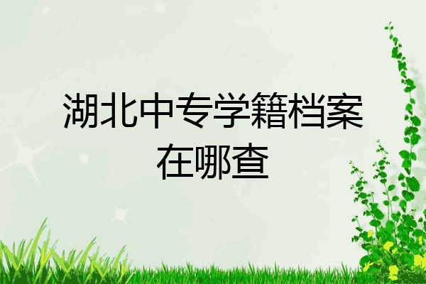 湖北中专学籍档案在哪查