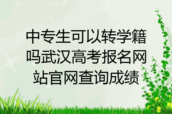 中专生可以转学籍吗武汉高考报名网站官网查询成绩