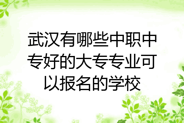 武汉有哪些中职中专好的大专专业可以报名的学校