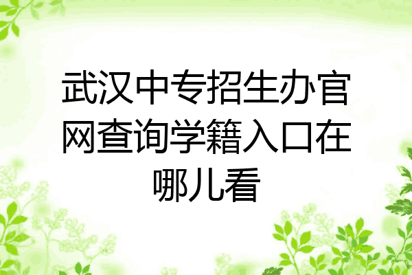 武汉中专招生办官网查询学籍入口在哪儿看