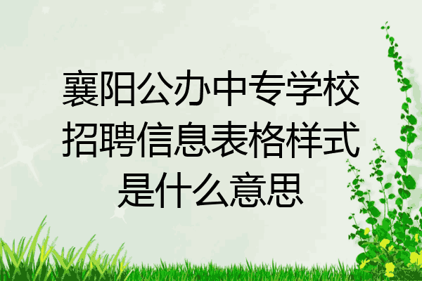 襄阳公办中专学校招聘信息表格样式是什么意思