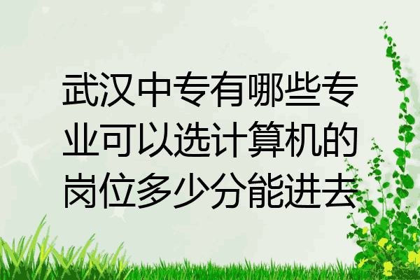 武汉中专有哪些专业可以选计算机的岗位多少分能进去