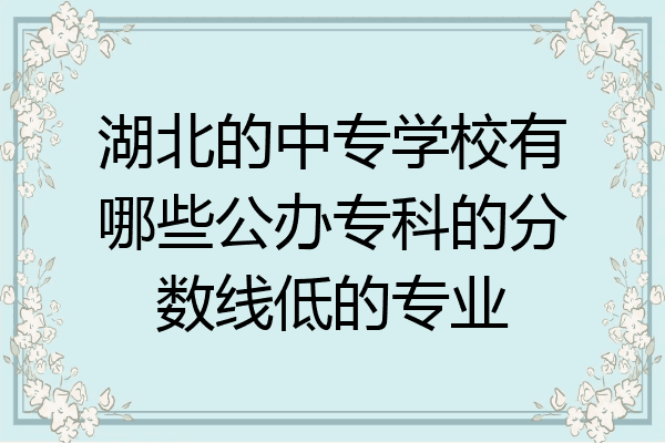 湖北的中专学校有哪些公办专科的分数线低的专业