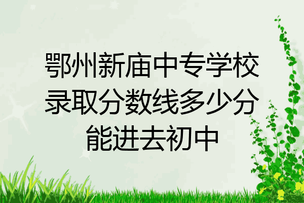 鄂州新庙中专学校录取分数线多少分能进去初中