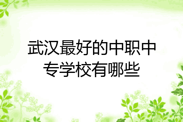 武汉最好的中职中专学校有哪些