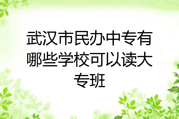 武汉市民办中专有哪些学校可以读大专班