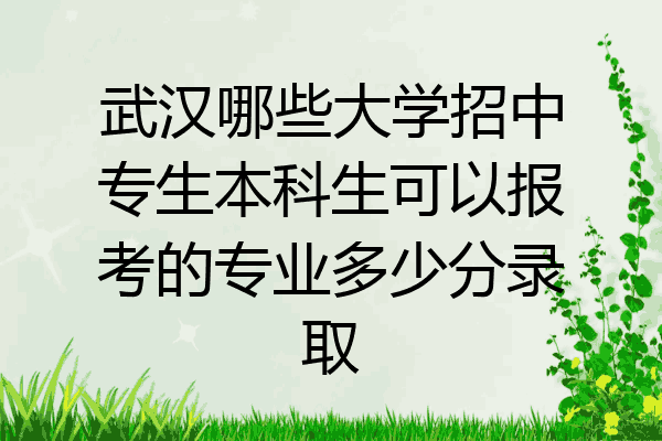 武汉哪些大学招中专生本科生可以报考的专业多少分录取
