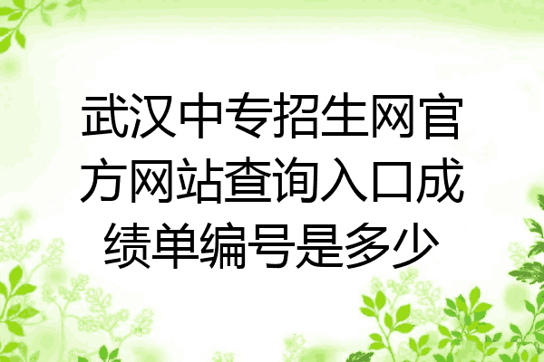 武汉中专招生网官方网站查询入口成绩单编号是多少