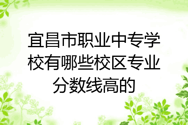 宜昌市职业中专学校有哪些校区专业分数线高的
