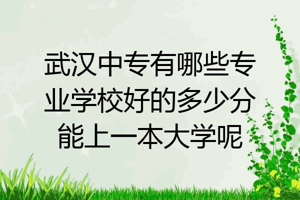 武汉中专有哪些专业学校好的多少分能上一本大学呢