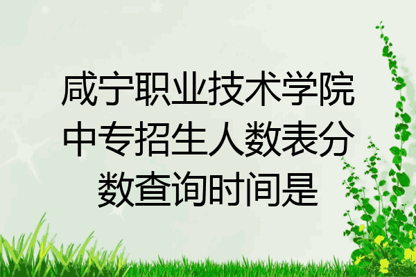 咸宁职业技术学院中专招生人数表分数查询时间是