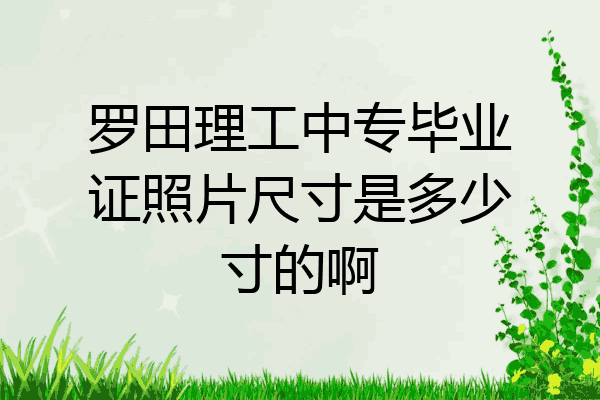 罗田理工中专毕业证照片尺寸是多少寸的啊
