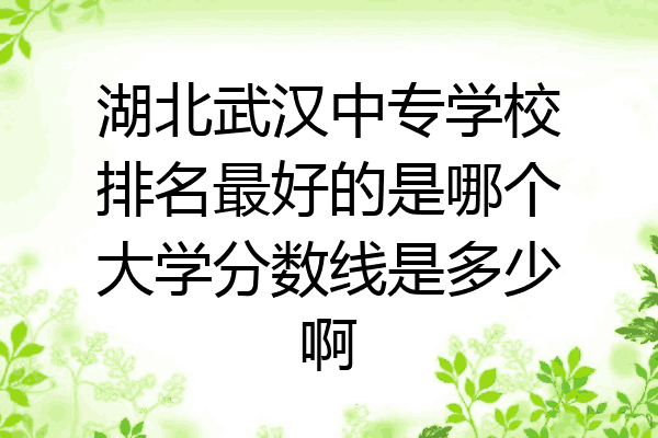 湖北武汉中专学校排名最好的是哪个大学分数线是多少啊
