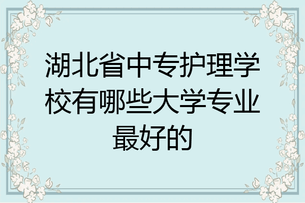 湖北省中专护理学校有哪些大学专业最好的
