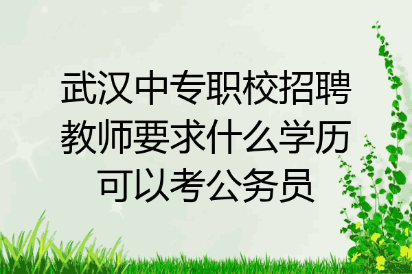 武汉中专职校招聘教师要求什么学历可以考公务员