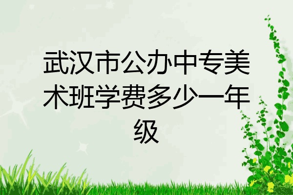 武汉市公办中专美术班学费多少一年级