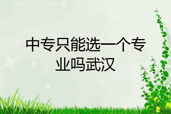 中专只能选一个专业吗武汉