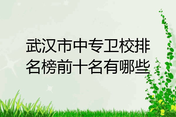 武汉市中专卫校排名榜前十名有哪些