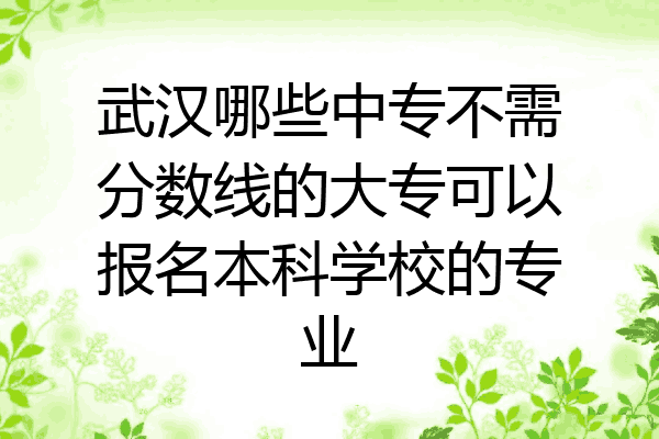 武汉哪些中专不需分数线的大专可以报名本科学校的专业